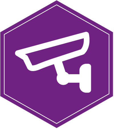 Image icon